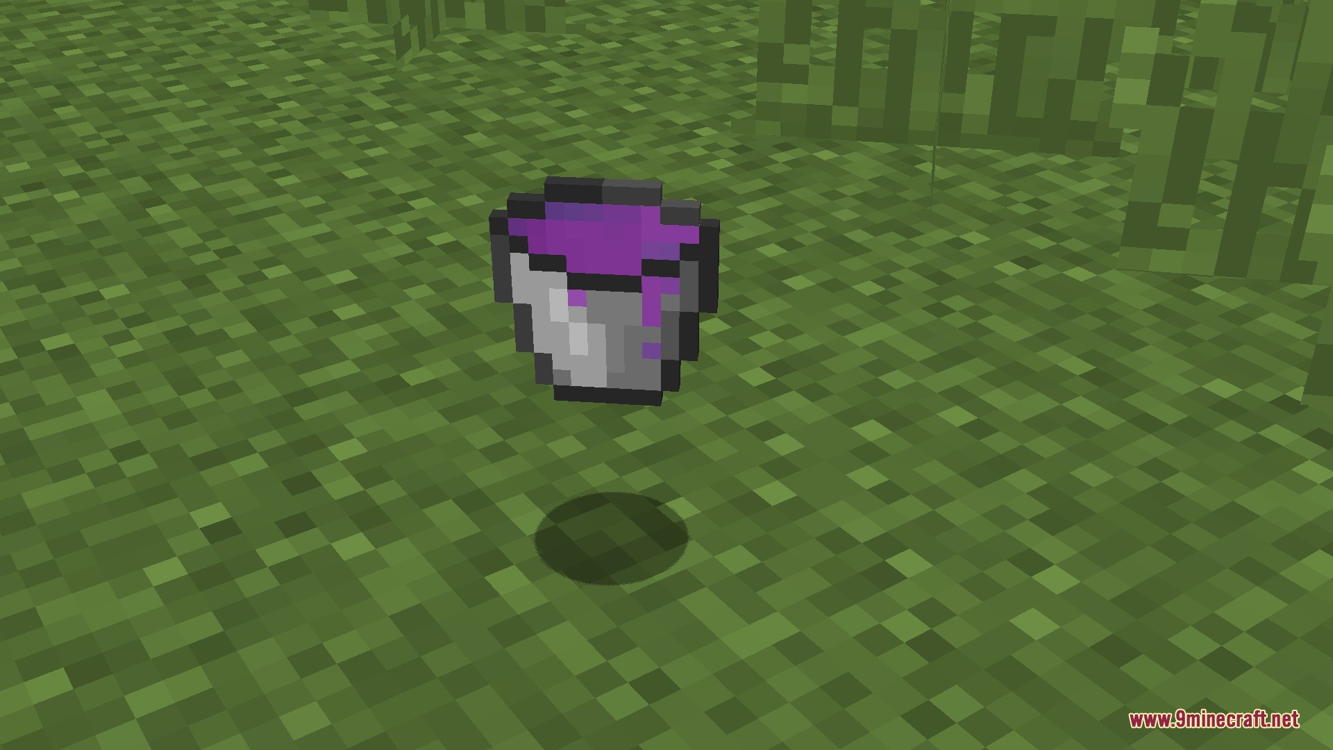 A bucket filled with a new purple liquid sits on the grass
