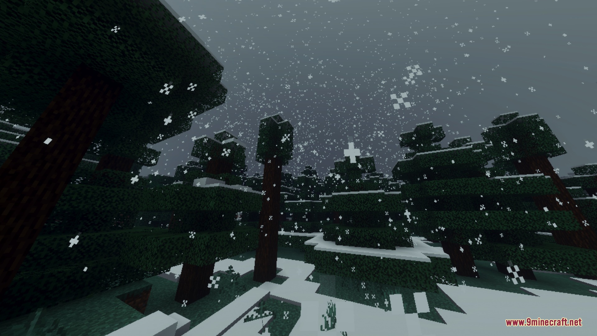 White snowflakes fall through a dark spruce forest during a cold winter night