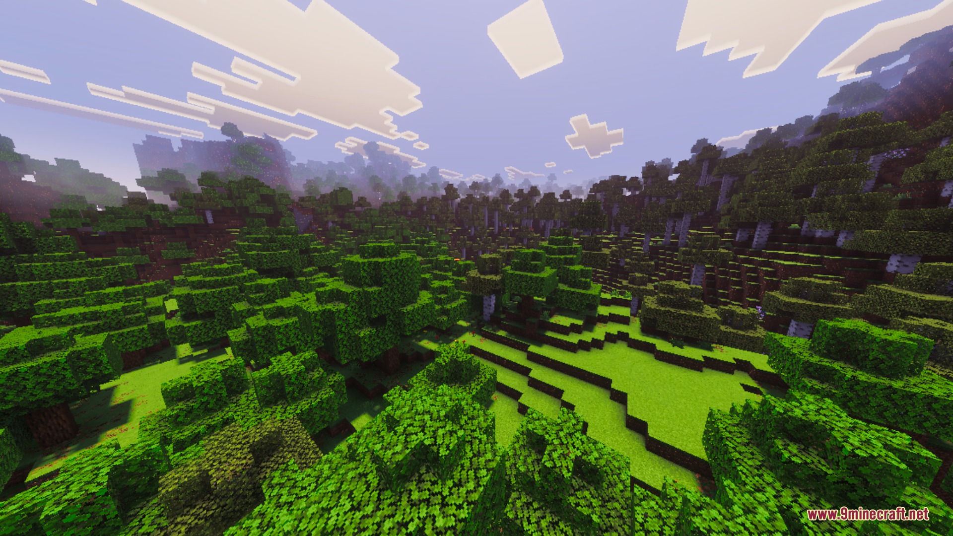 Ray Trace Visuals enhances the forest landscape with vibrant colors and lighting