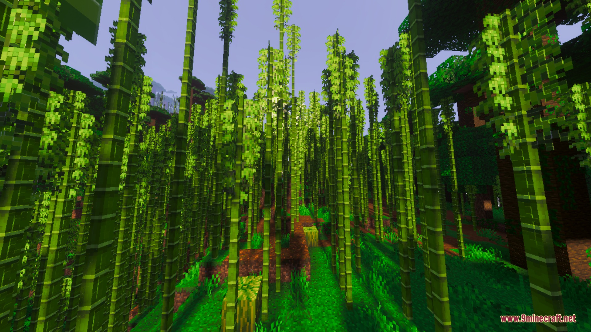 A dense bamboo forest with vibrant green colors and enhanced lighting effects