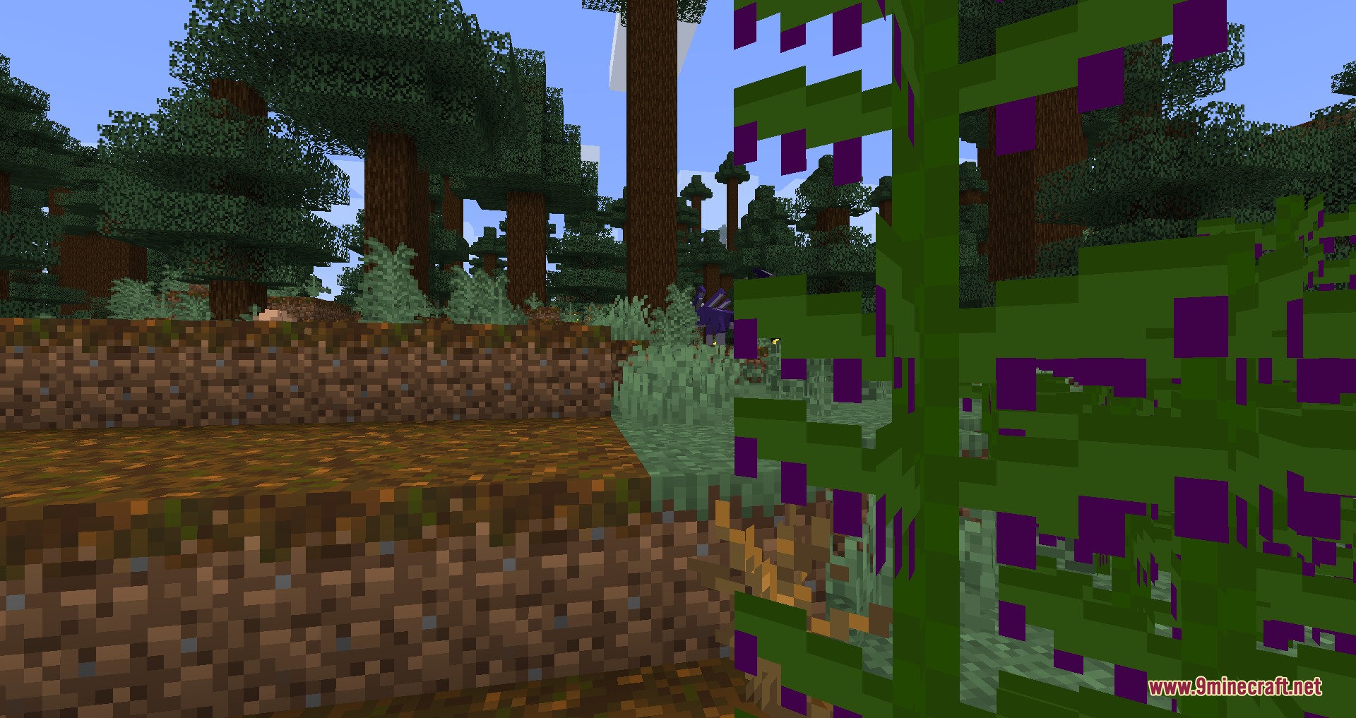 Re Zero Experience by Zoomerreid Mod Screenshot 4 Purple Bocco Fruit plants growing in a dense forest biome with tall trees