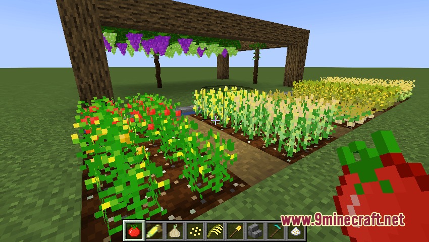 A player holding a tomato in a garden with various growing crops