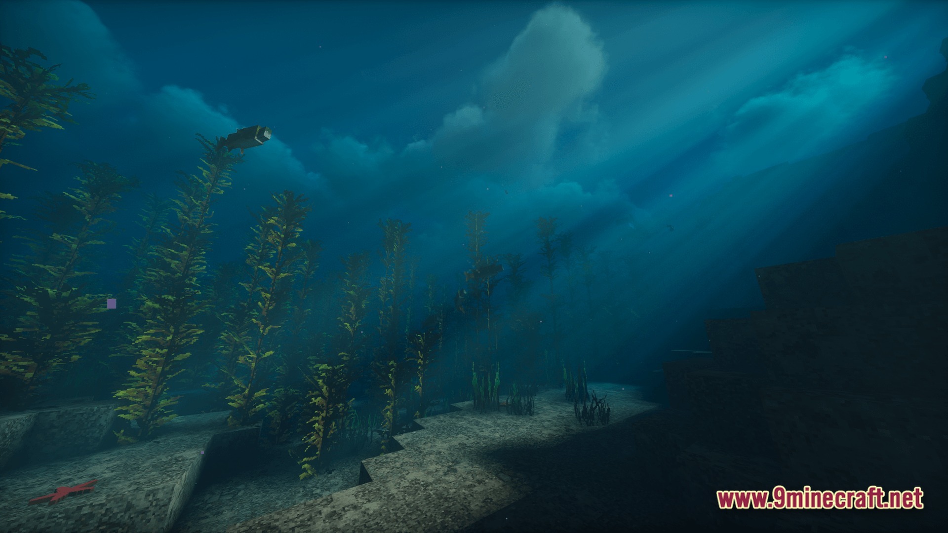 Real Realistic World Realistic Modpack Screenshot 9 An underwater kelp forest biome featuring fish, realistic lighting effects, and high-resolution textures