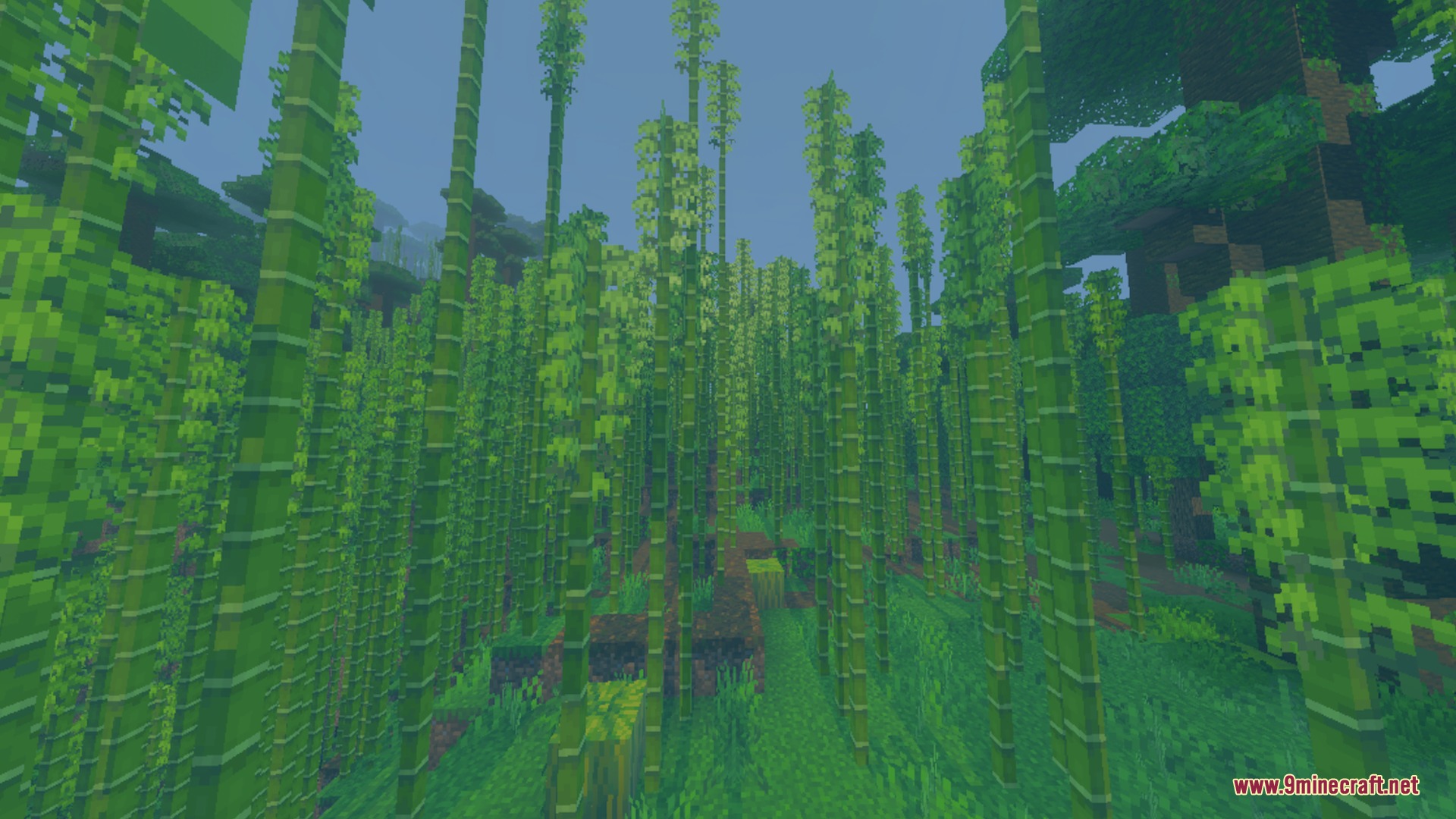 Dense bamboo jungle biome illuminated by a bright blue visual filter