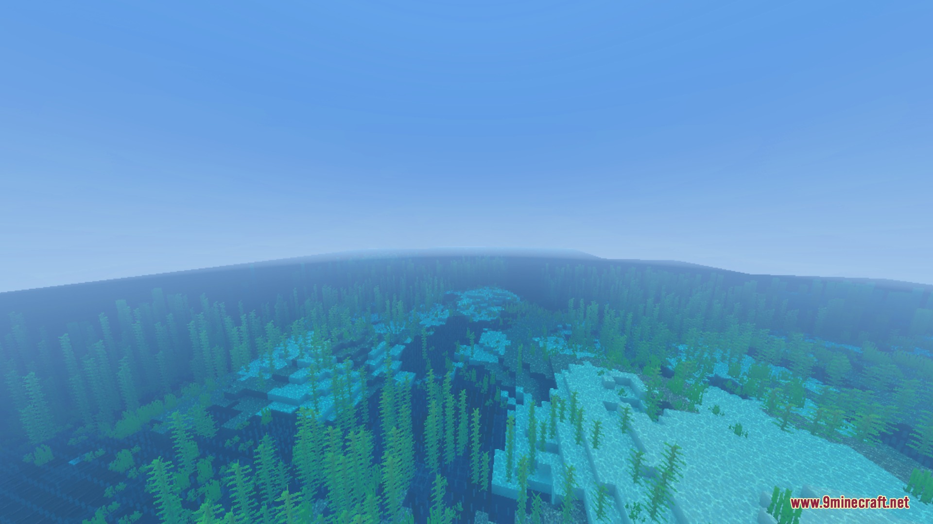 Underwater ocean floor and kelp plants visible through a blue night vision filter