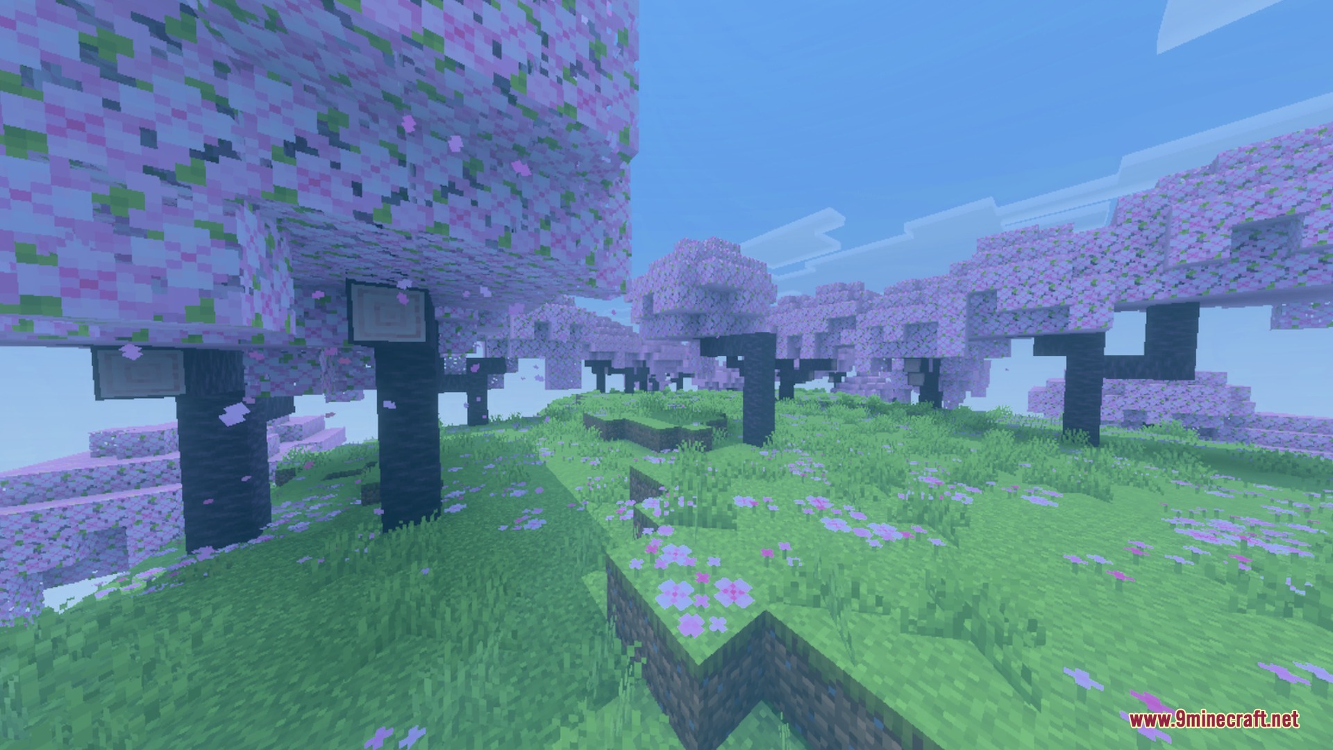 Pink cherry blossom trees and flowers in a field with soft blue lighting