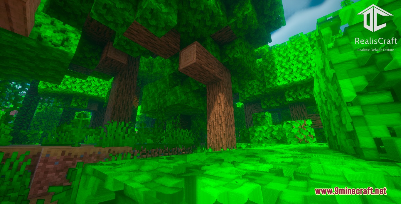 Realis Craft JE Realistic Default Textures Resource Pack Screenshot 8 Lush green forest showcasing detailed tree bark textures and vibrant leafy foliage