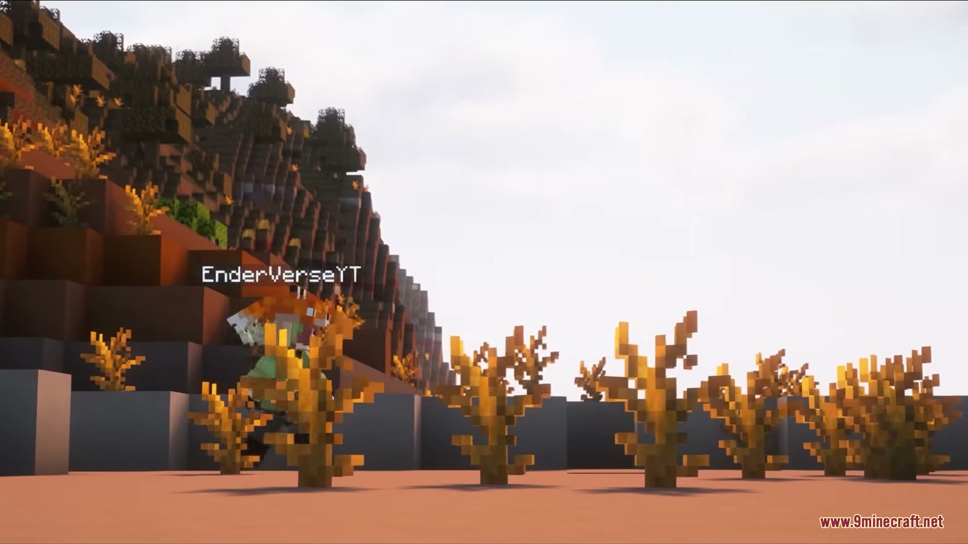 Realistic Nametag Mod Screenshot 1 Player name tag partially hidden behind yellow bushes in a sunny desert biome