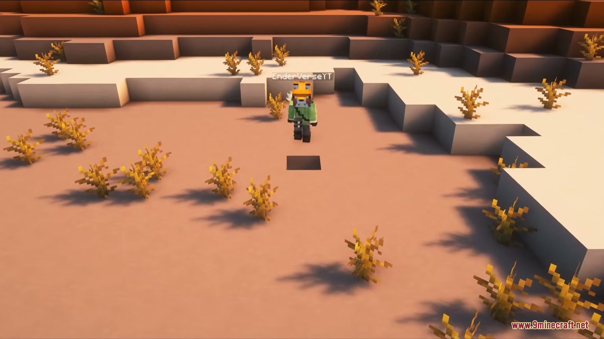 Realistic Nametag Mod Screenshot 2 A Minecraft player standing in an open desert with a visible name tag