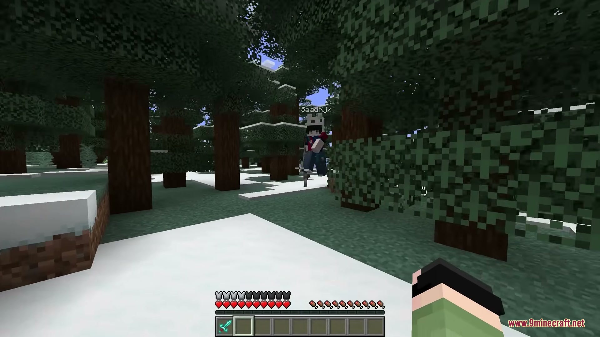 Realistic Nametag Mod Screenshot 3 A player with a visible name tag stands in a snowy spruce forest