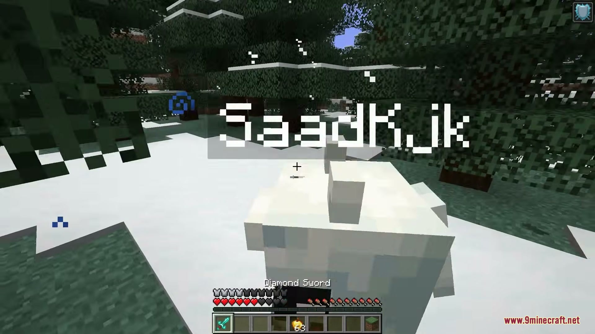 Realistic Nametag Mod Screenshot 4 Close up view of a player name tag using Realistic Nametag Mod