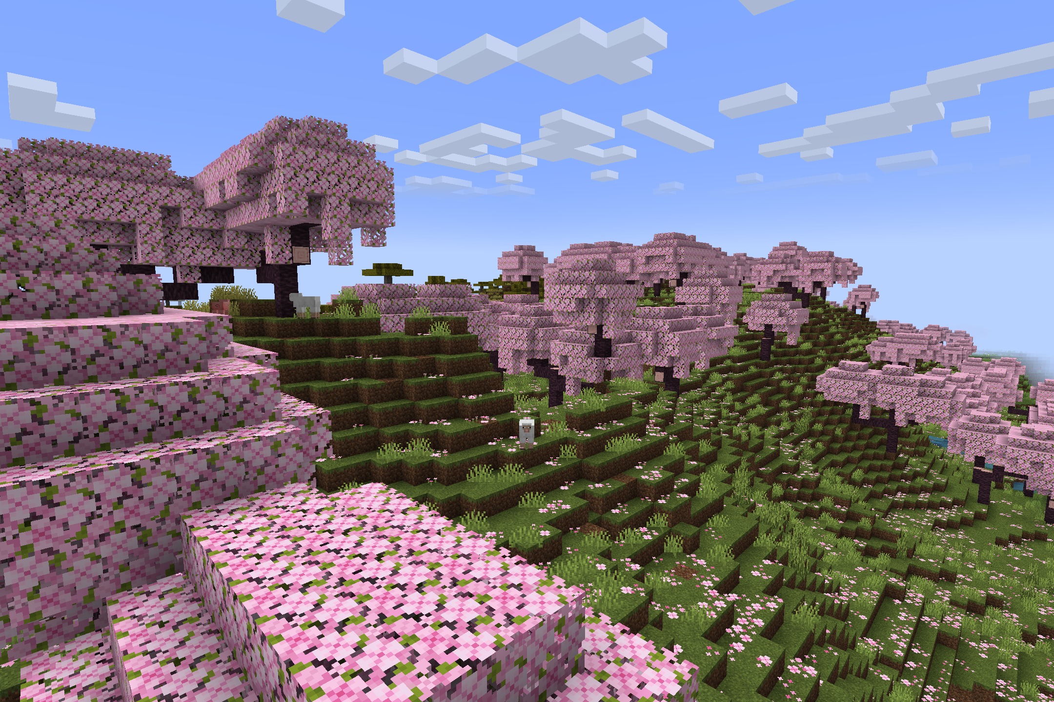 Realtastic X512 PBR POM Resource Pack Screenshot 1 A vibrant cherry grove biome with detailed pink blossom trees and green grass