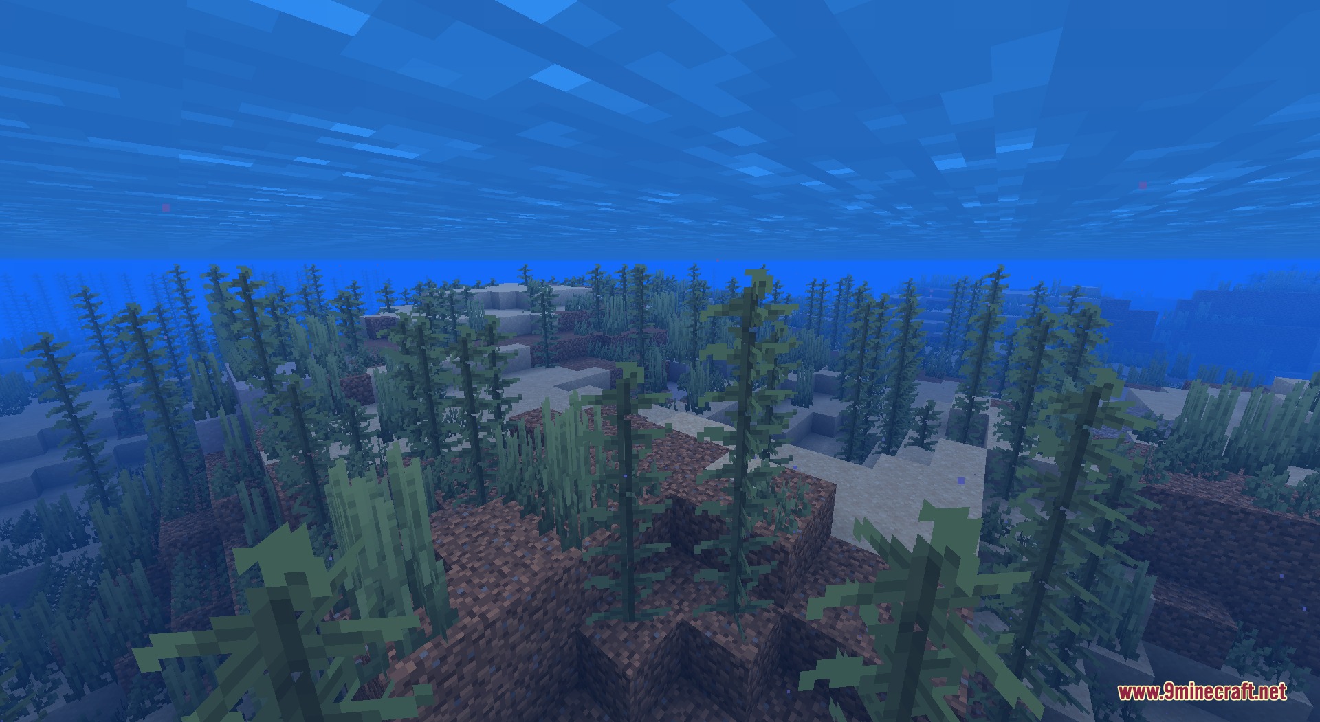 Recolored Plants Resource Pack Screenshot 2 Underwater view of green kelp and seagrass growing on the sandy ocean floor