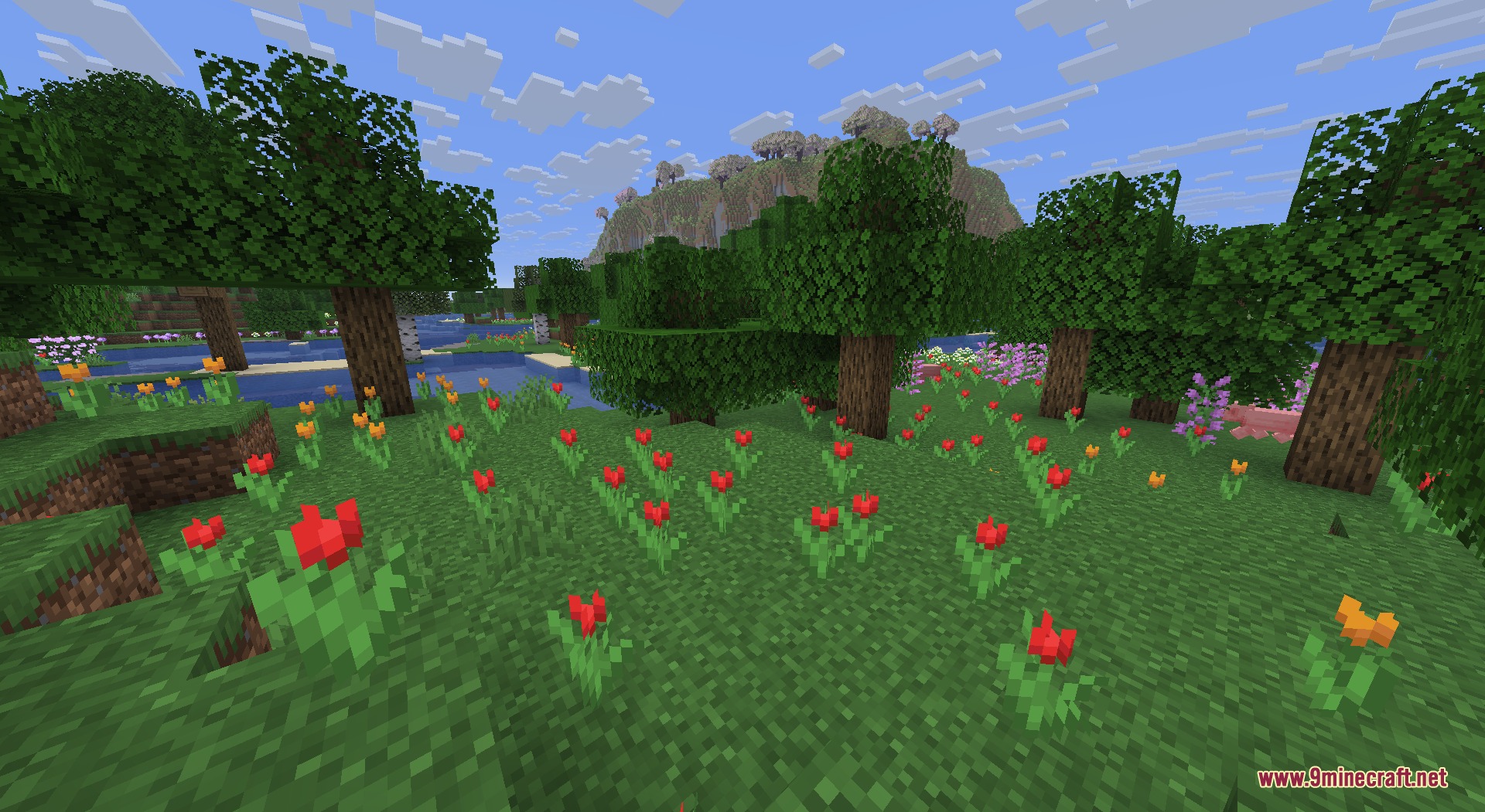 Recolored Plants Resource Pack Screenshot 7 Recolored Plants Resource Pack showing red tulips and orange flowers in a forest