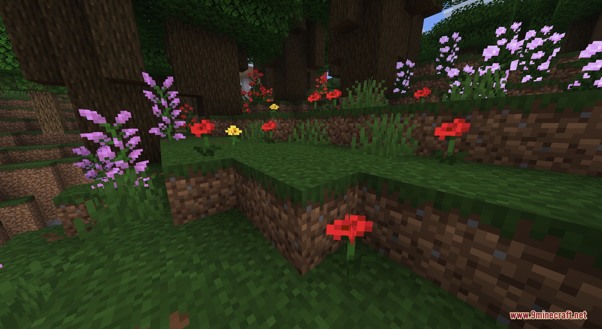 Recolored Plants Resource Pack Screenshot 8 Pink lilacs and red poppies growing on a grassy hill in the woods