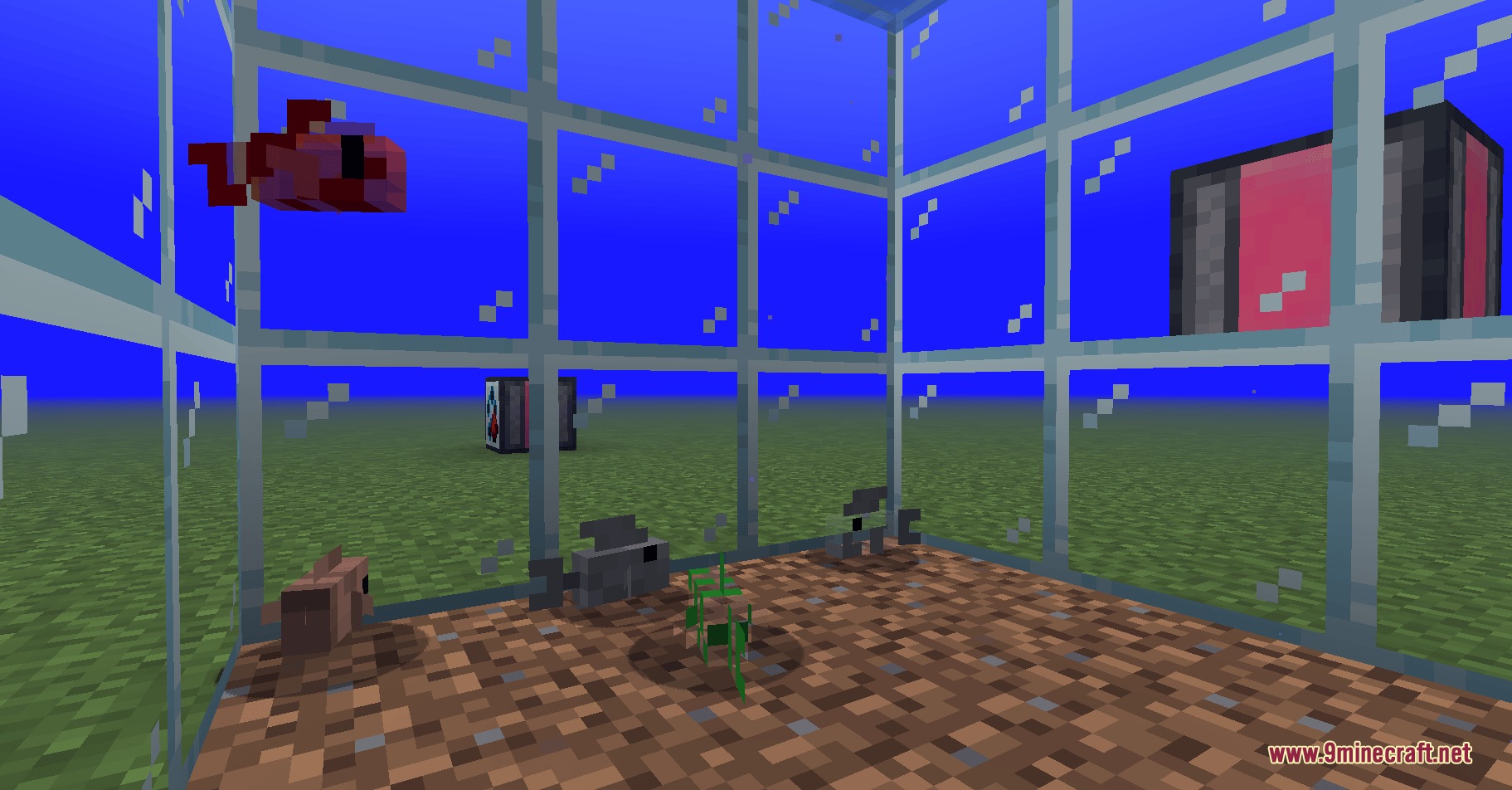 Resource Fish Mod Screenshot 3 Resource fish swimming inside a glass tank filled with water and plants
