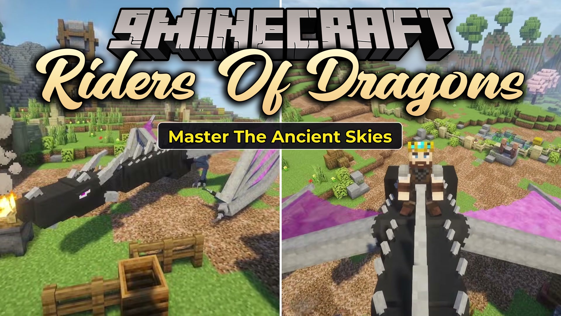 Riders of Dragons Mod