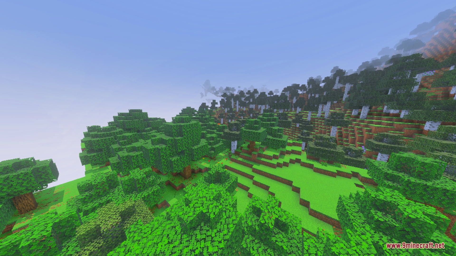 Lush green forest biome with oak and birch trees under a bright sky