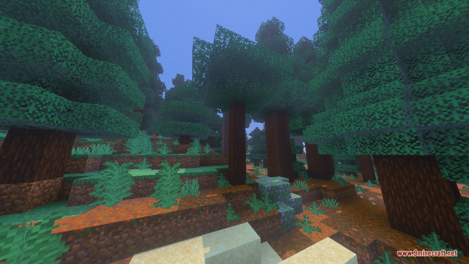 Saturation Visual mod enhances colors in a tall spruce forest biome