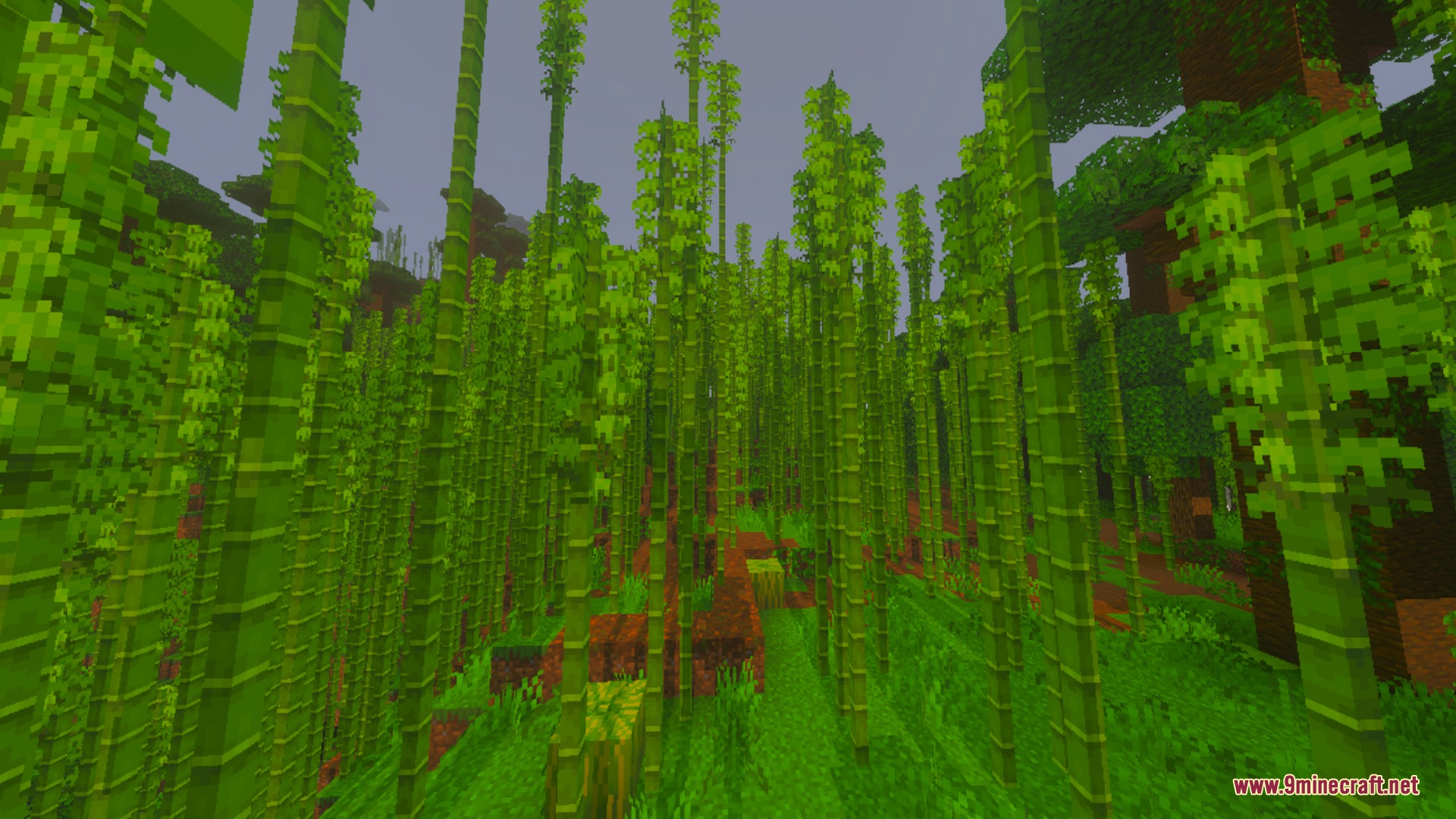 Dense bamboo jungle with bright green stalks and highly saturated colors