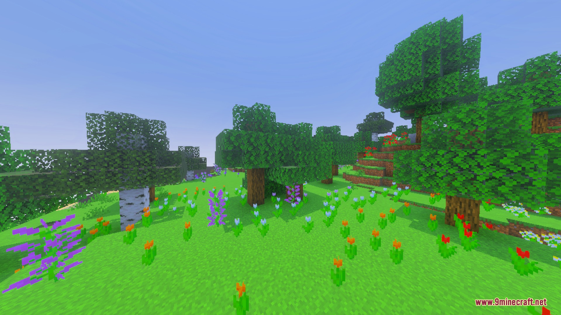Vibrant green meadow with colorful flowers enhanced by the Saturation Visual mod