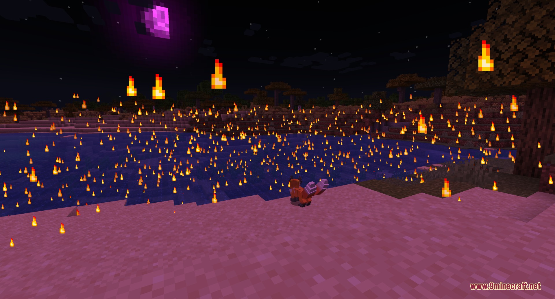 A fox sits on a beach surrounded by many small fires at night