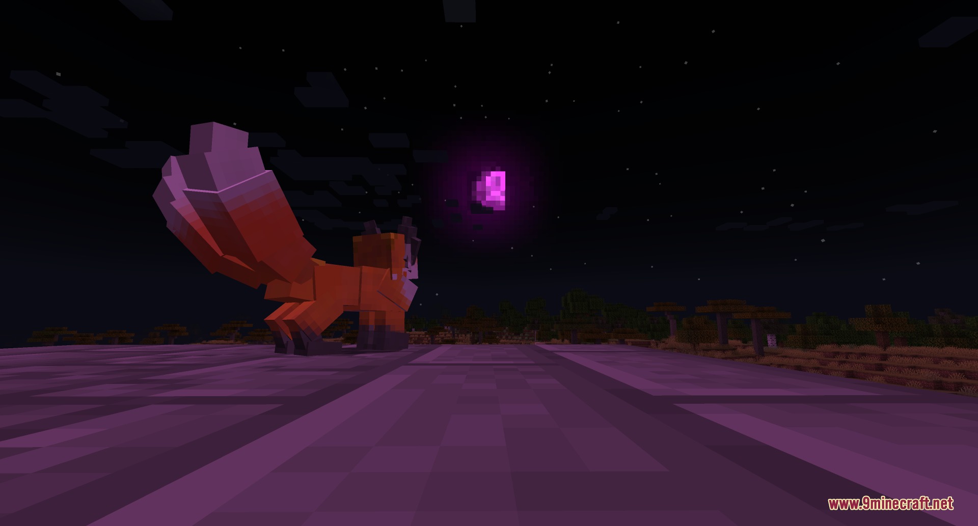 A Familiar Fox looks at a glowing purple gem in the night sky
