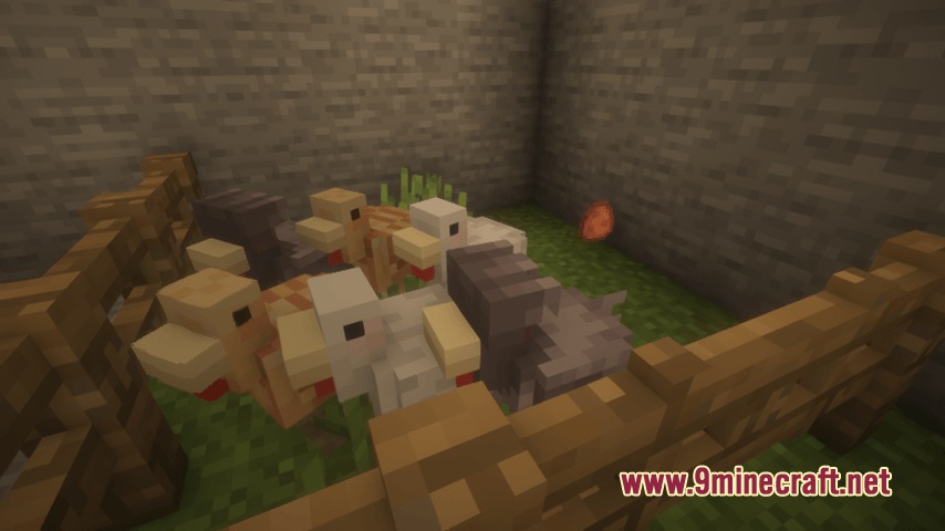 SSL's Soft Textures Resource Pack Screenshot 3 A group of soft textured chickens standing inside a wooden fence enclosure
