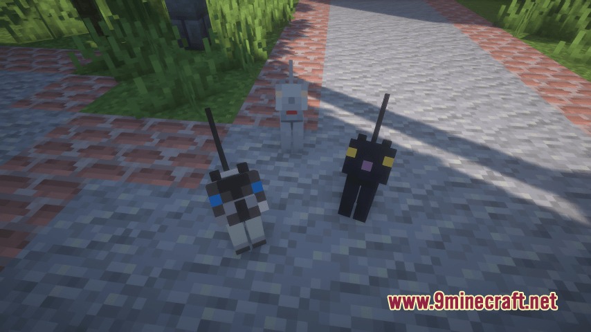 SSL's Soft Textures Resource Pack Screenshot 4 Three small cats with soft textures sitting on a stone garden path