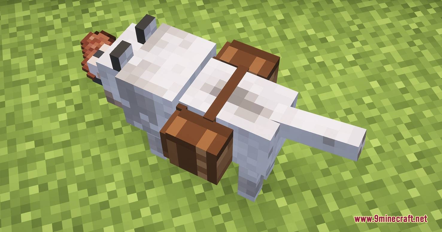 Overhead view of a wolf with a saddlebag holding beef in its mouth