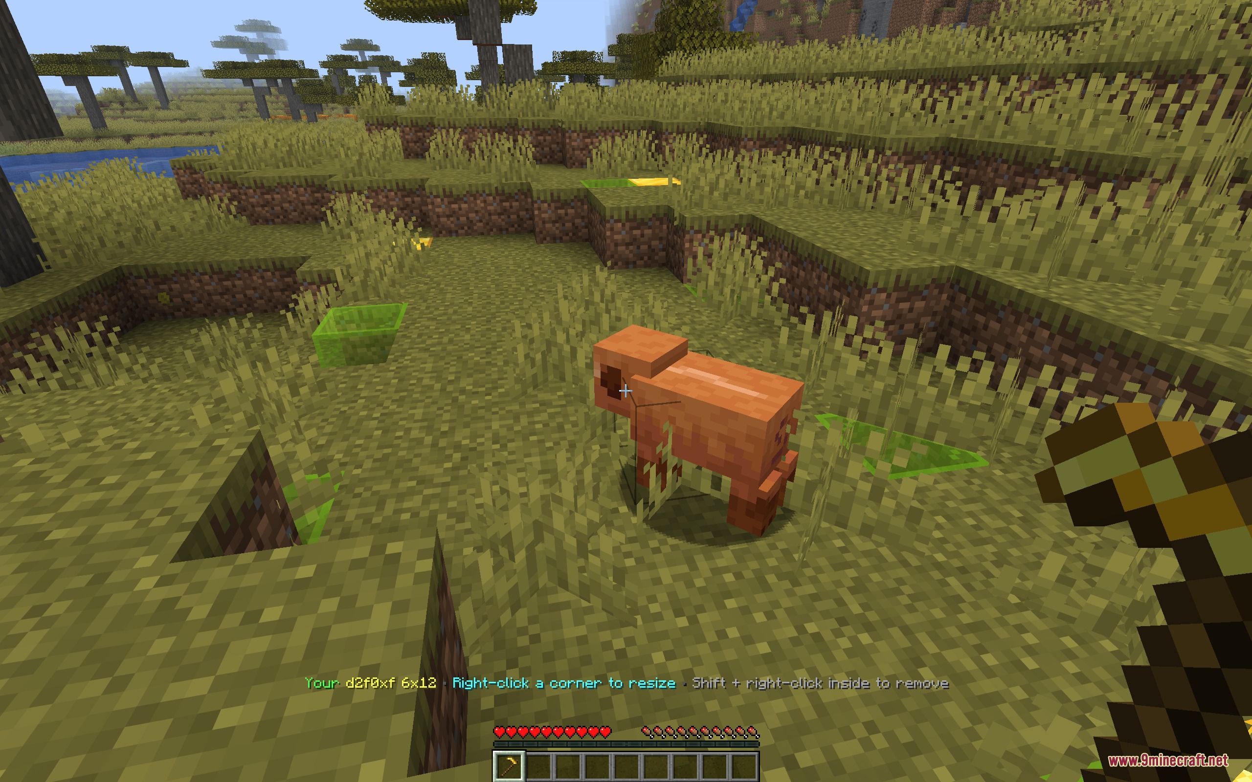 Safe Zone Claims Mod Screenshot 4 A player views a safe zone claim area with green boundary lines