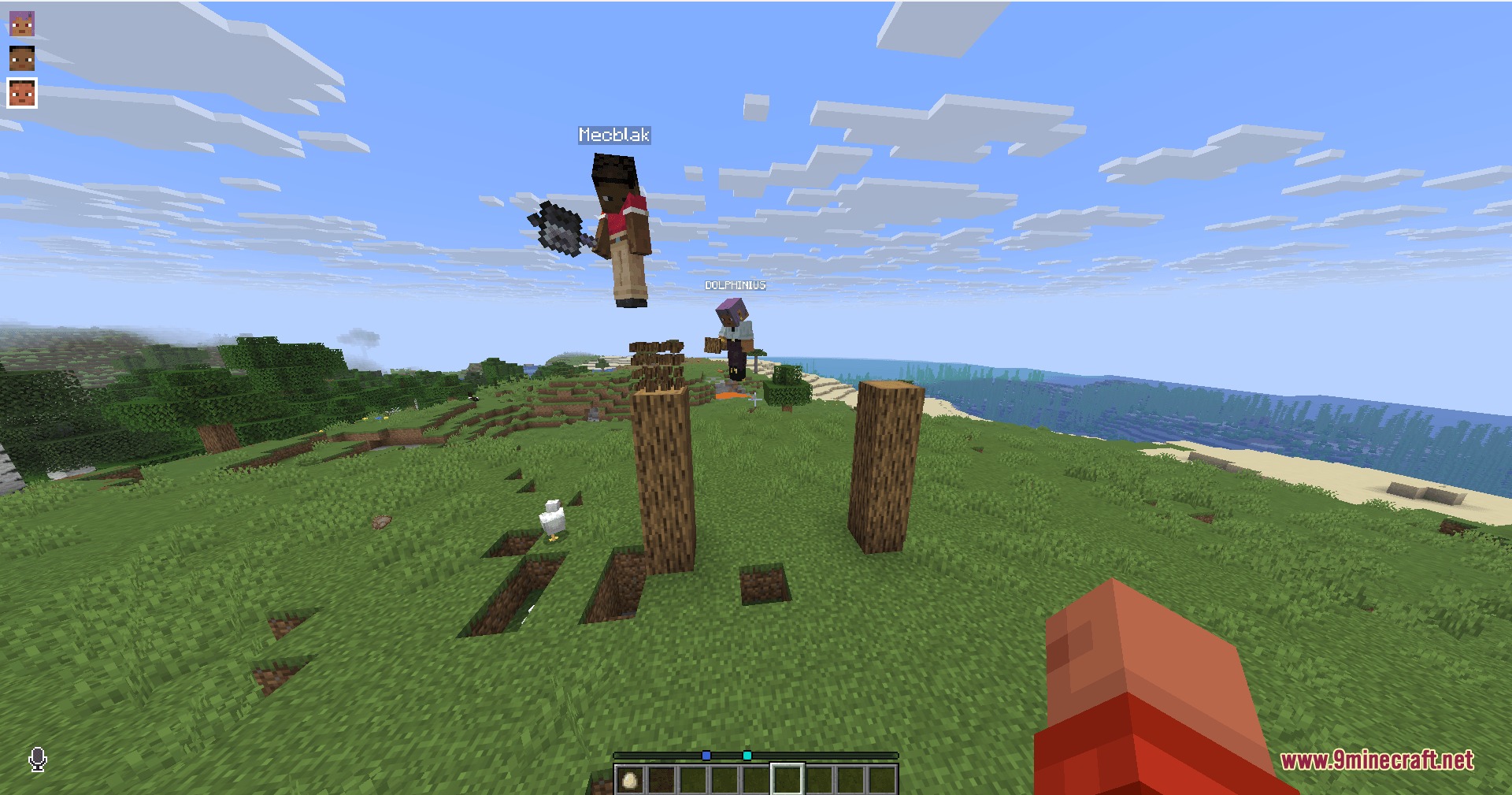 Safra Forge Mod Screenshot 1 Two players interacting in a grassy field with wooden pillars and a chicken