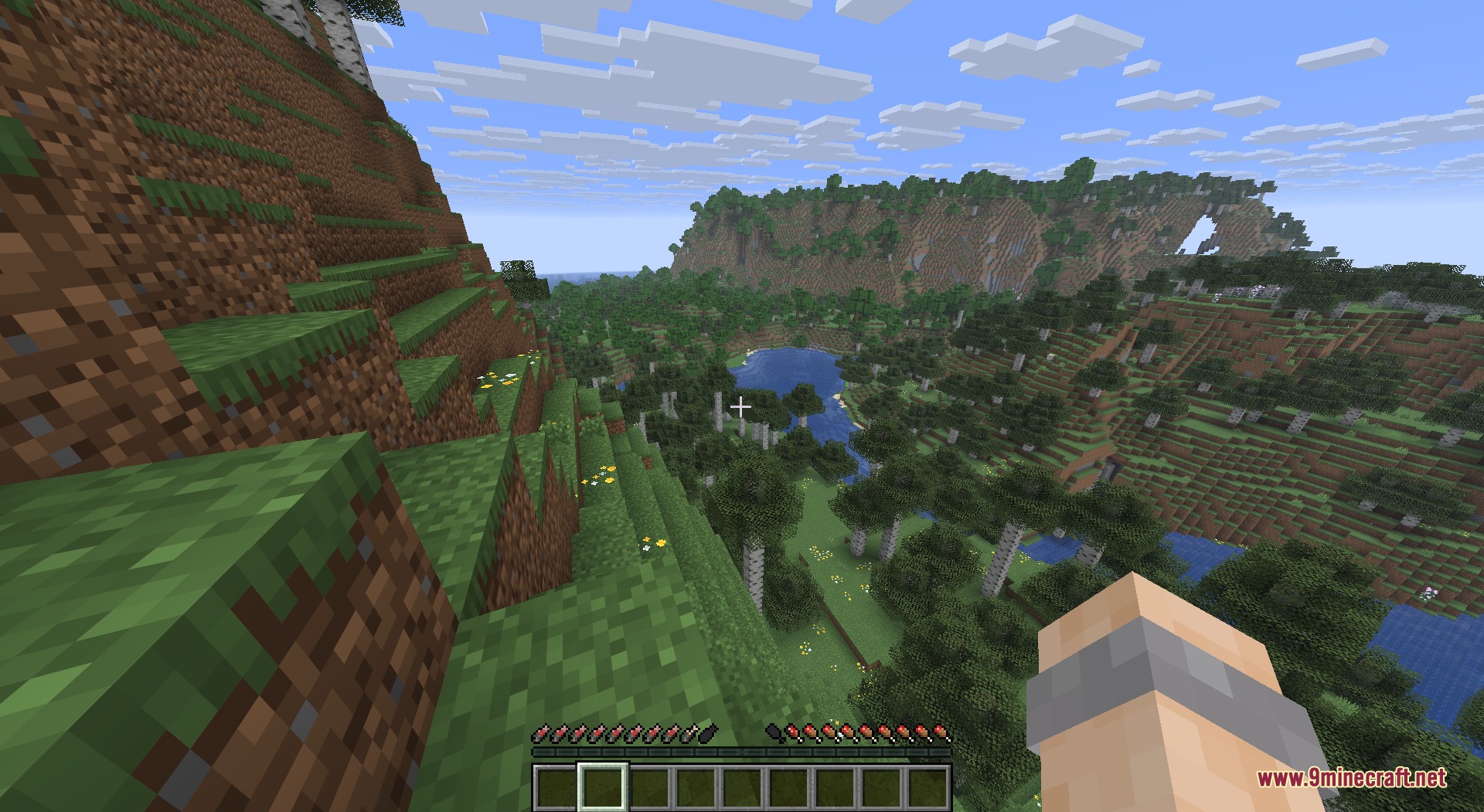Salmon Hearts Resource Pack Screenshot 1 Player overlooking a forest valley with salmon fish icons on the health bar