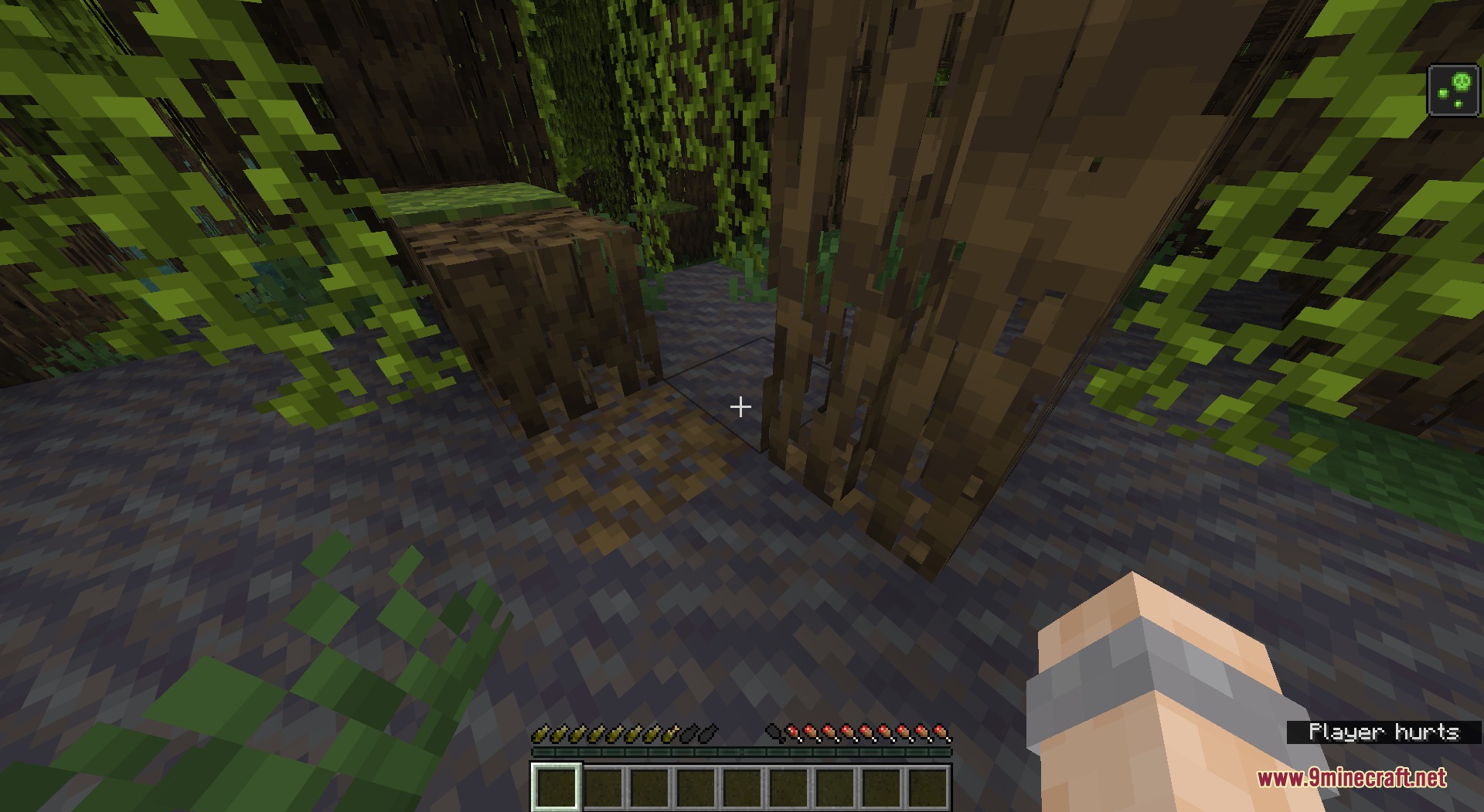 Salmon Hearts Resource Pack Screenshot 2 Poisoned player in a mangrove swamp showing green salmon fish icons on screen