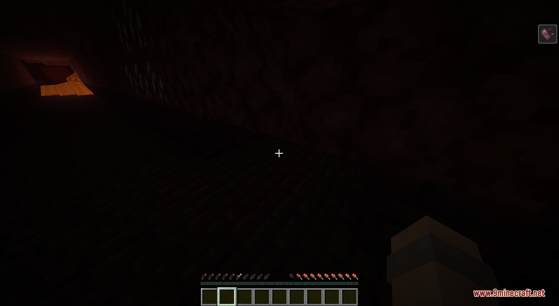 Salmon Hearts Resource Pack Screenshot 4 Custom salmon fish icons displayed on the health bar in dark caves