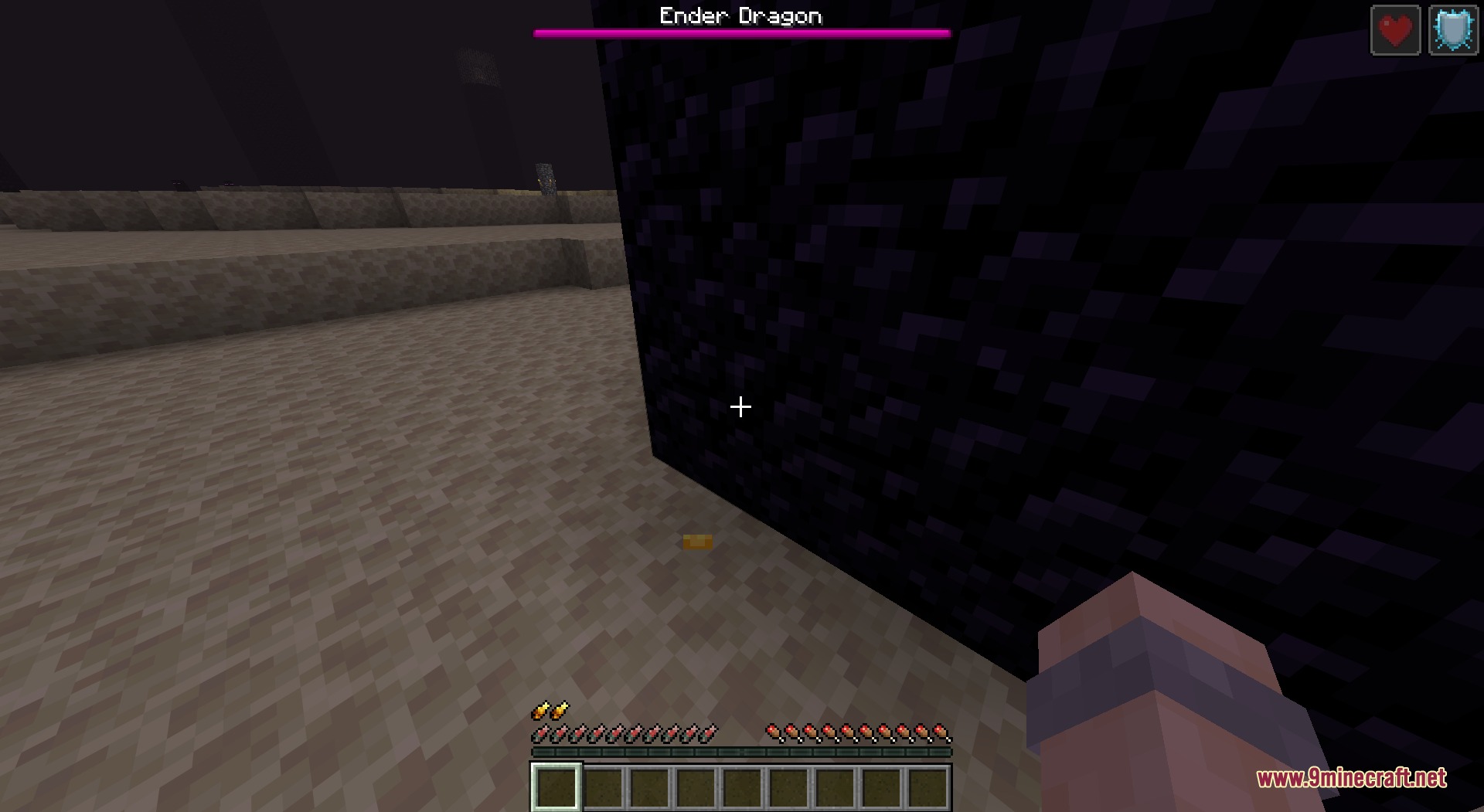 Salmon Hearts Resource Pack Screenshot 5 Custom salmon fish health icons displayed during a battle with the Ender Dragon
