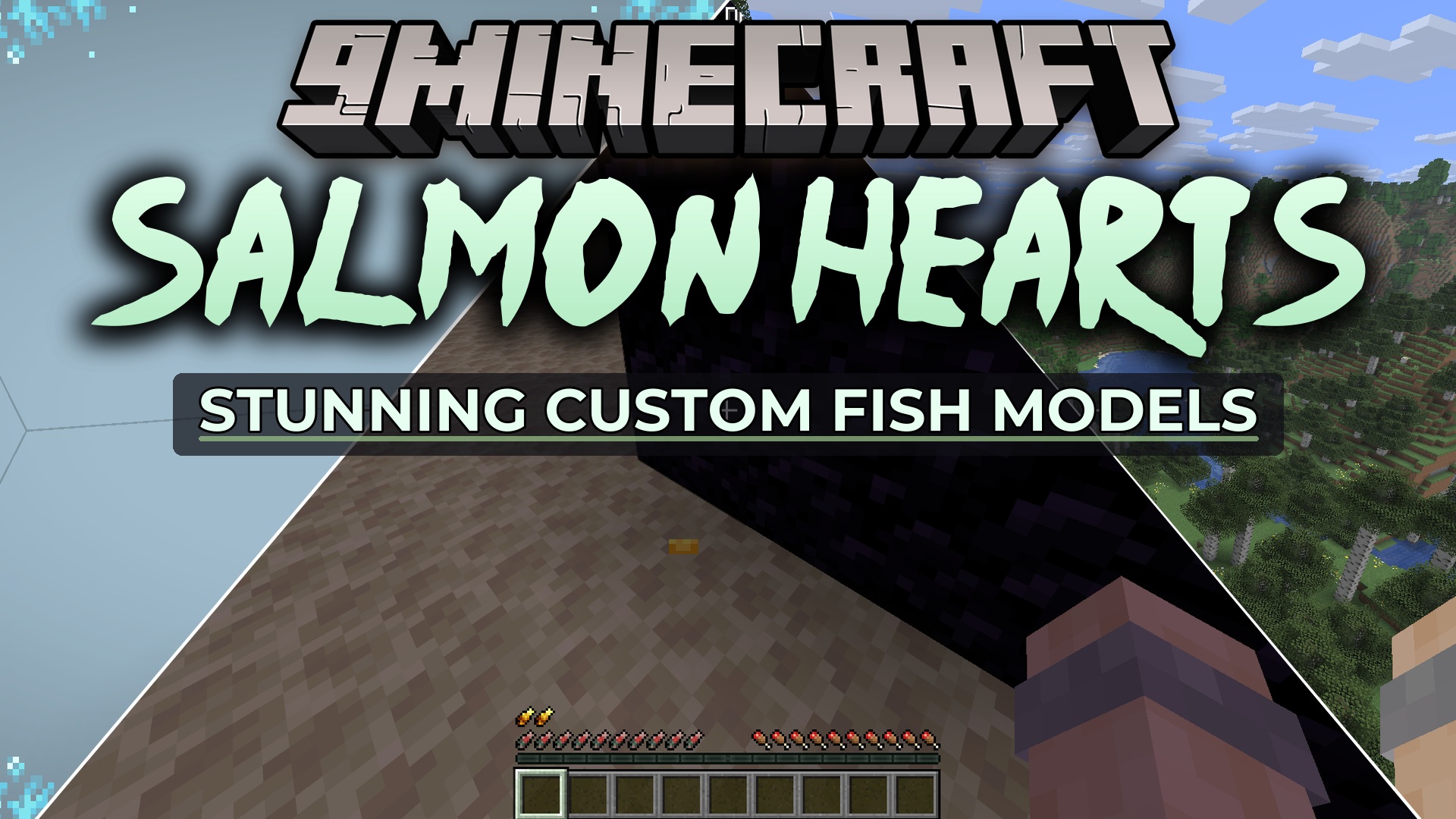 Salmon Hearts Resource Pack