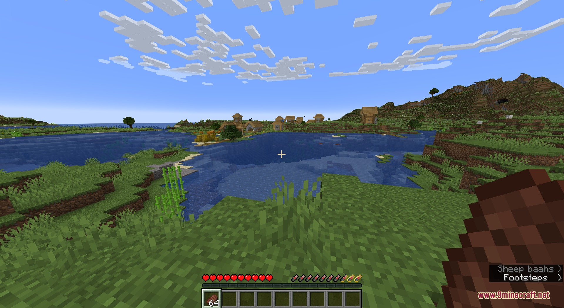 Salmon Hunger Bar Resource Pack Screenshot 3 Minecraft player looking at a village with salmon icons on the interface