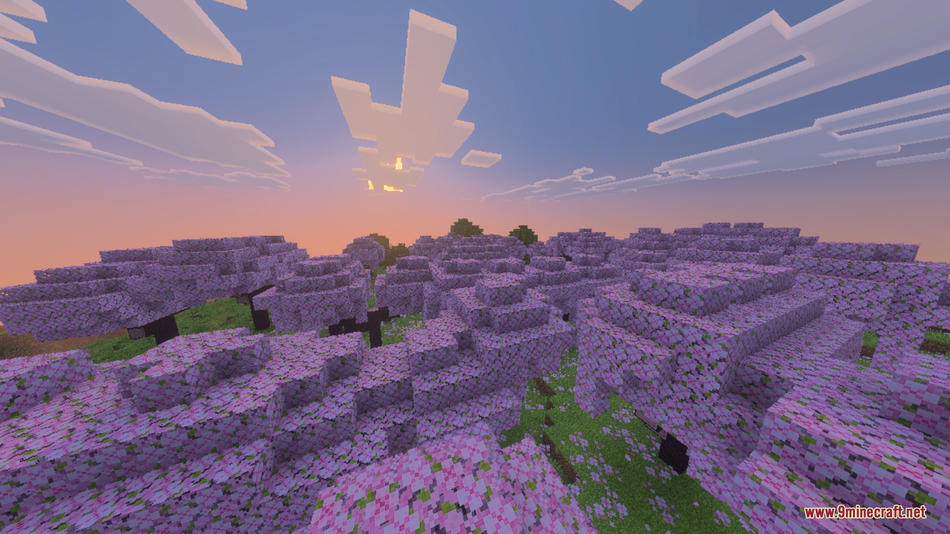 Saturated Visual Zephyr Free Lag Shader Screenshot 1 A lush cherry blossom forest with saturated pink leaves under a warm sunset