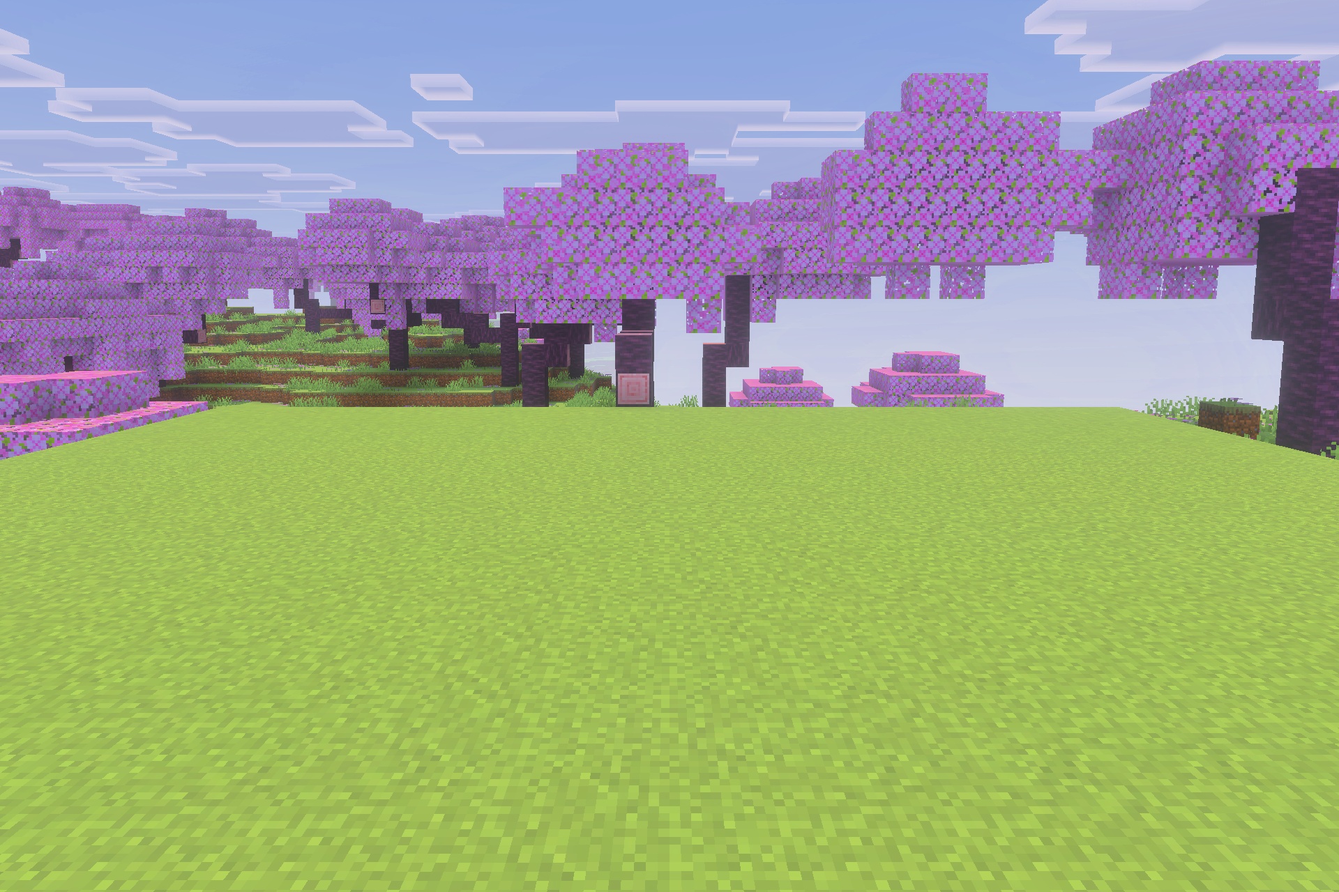 Beautiful cherry blossom biome with vibrant pink leaves and bright green grass