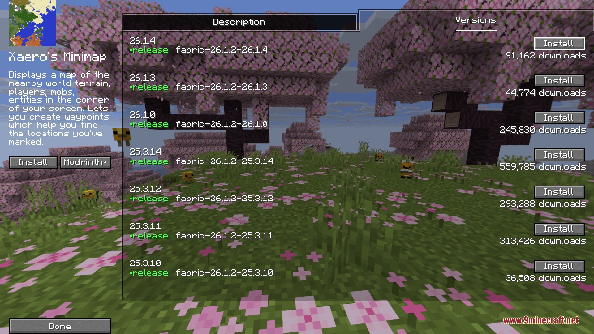 A menu showing different versions of a minimap mod available for installation