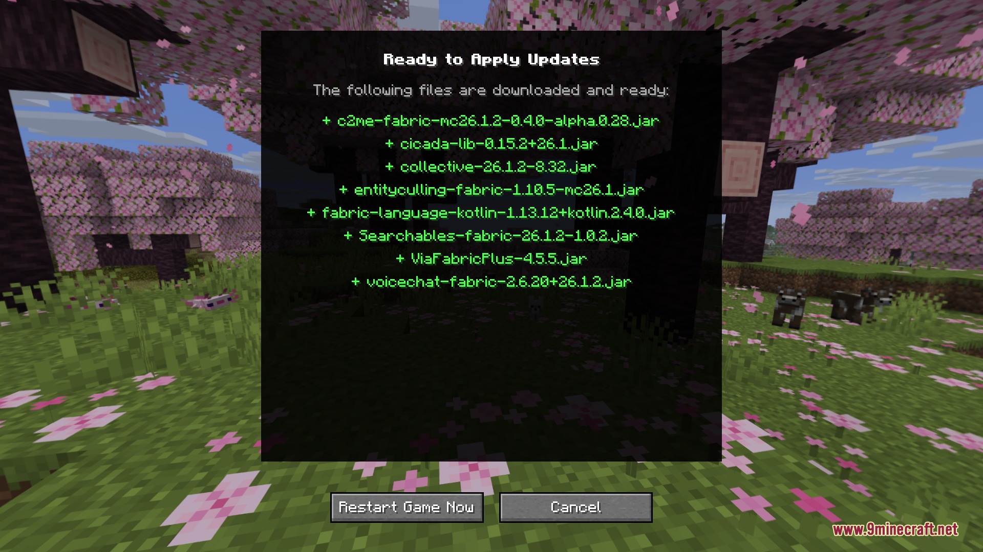 A confirmation screen showing downloaded mod files ready to be applied