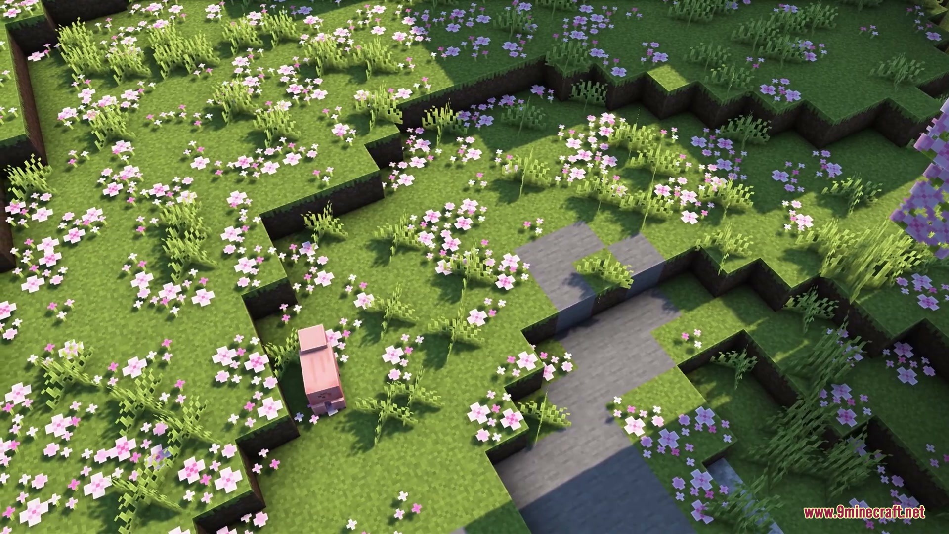 Serene Horizon Glow Resource Pack Screenshot 3 A pink pig wanders through a field of soft blooming flowers and grass