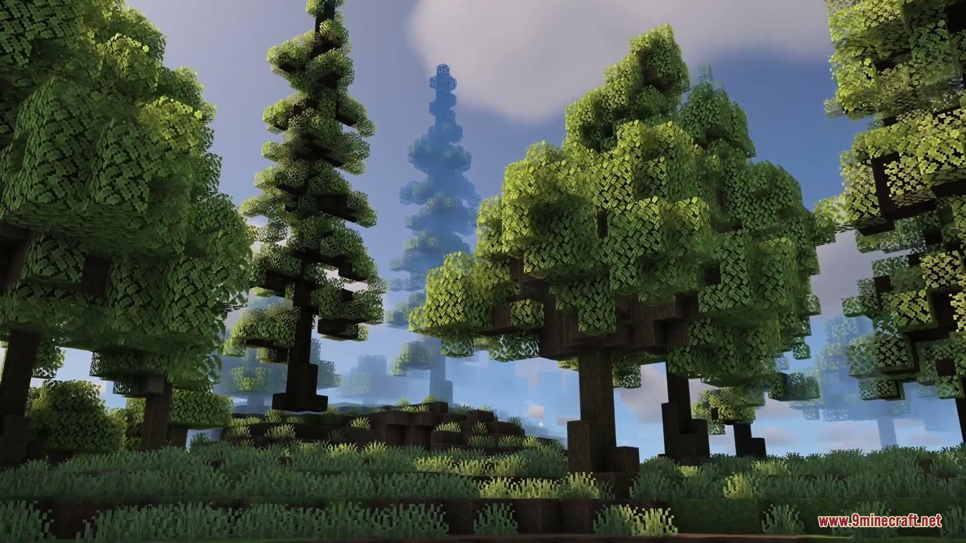Serene Horizon Glow Resource Pack Screenshot 5 Serene Horizon Glow Resource Pack showcases soft colors and tall trees in a forest