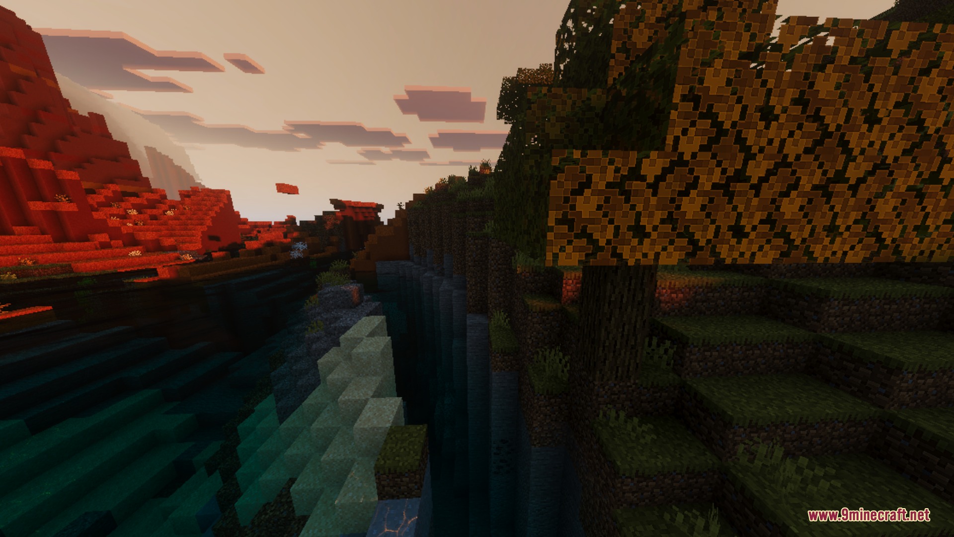 A tree with orange leaves overlooks a deep ravine during a soft sunset