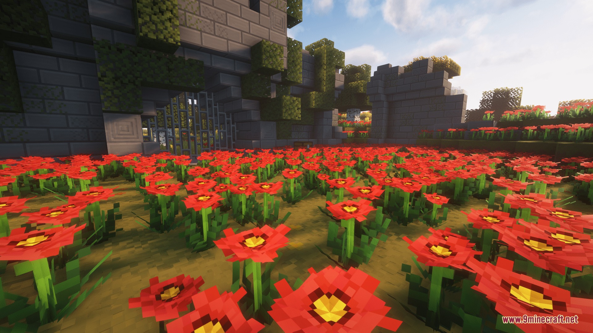 Red poppies blooming in a garden next to a stone castle wall