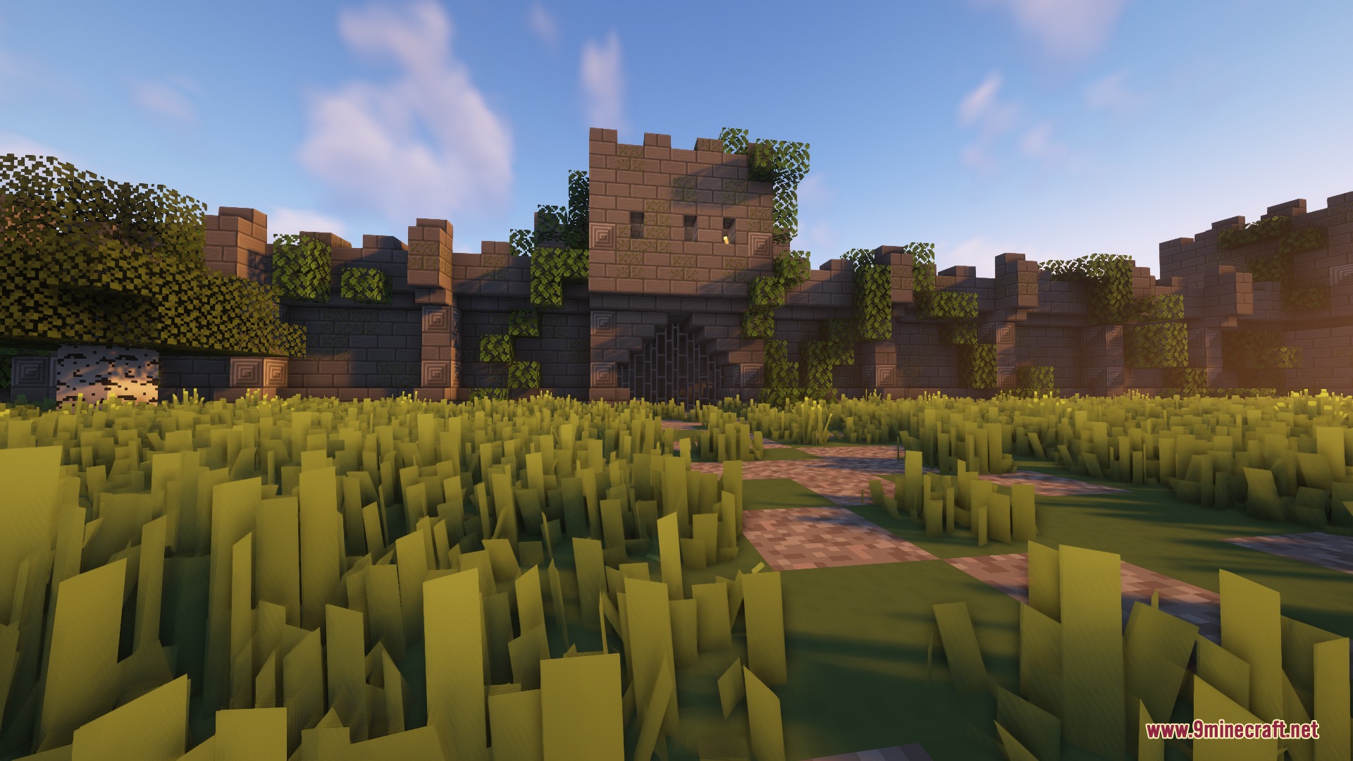 Stone brick castle wall with vines behind a field of tall grass and path