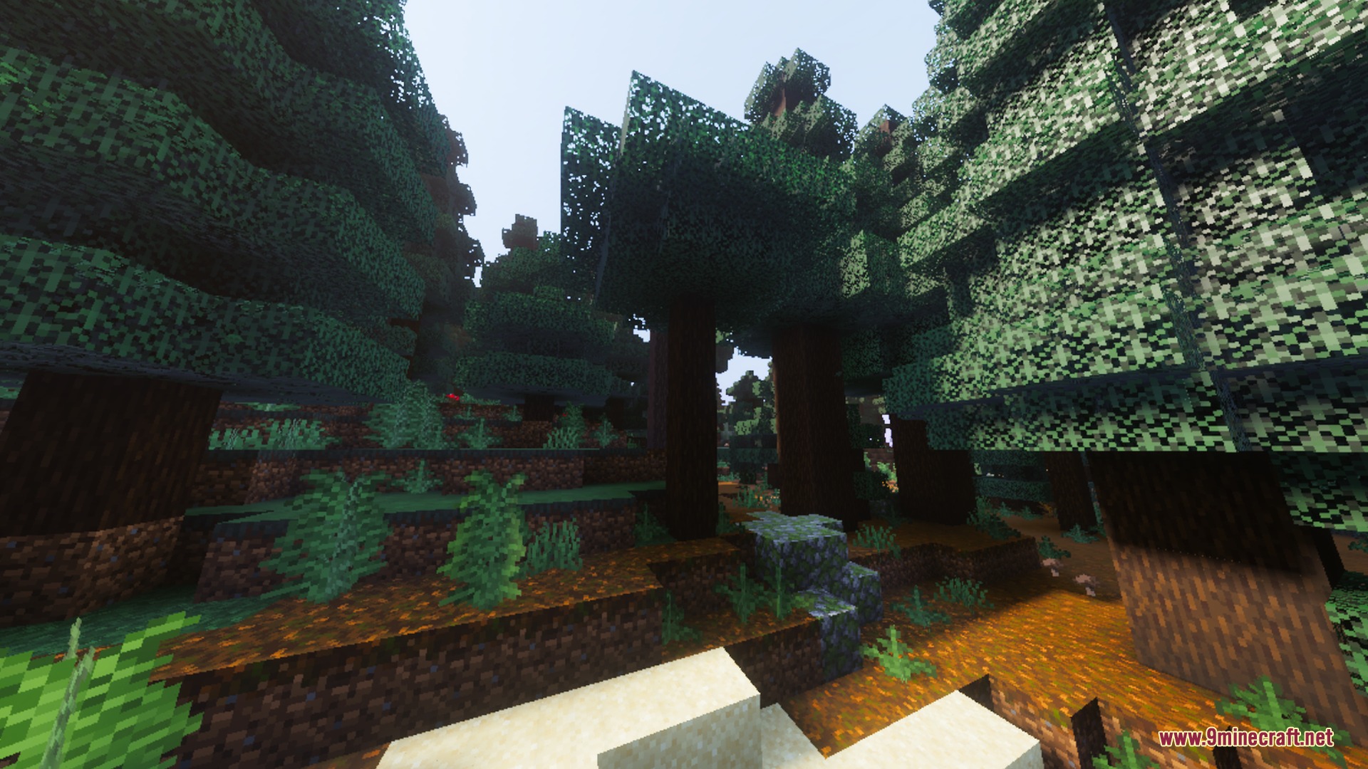 Simplistic Shader Screenshot 7 Spruce forest biome with cinematic lighting and soft atmospheric fog