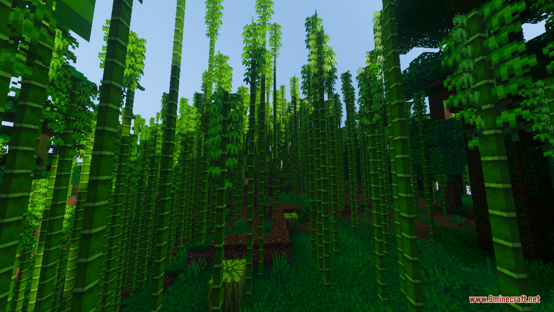 Simplistic Shader Screenshot 8 Lush bamboo jungle with vibrant green stalks and realistic sun rendering