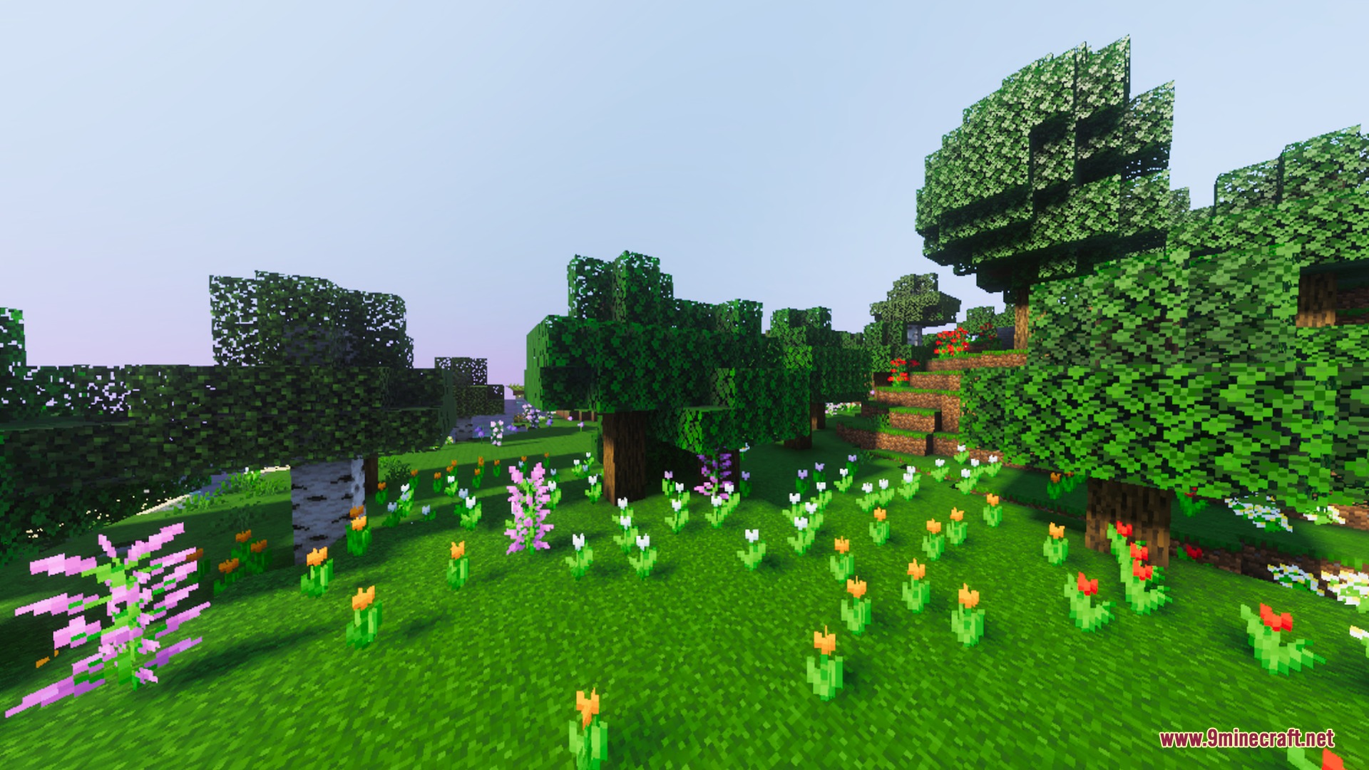 Simplistic Shader Screenshot 9 Lush green meadow with colorful flowers and warm cinematic lighting in Minecraft
